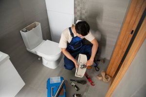toilet without a plunger
