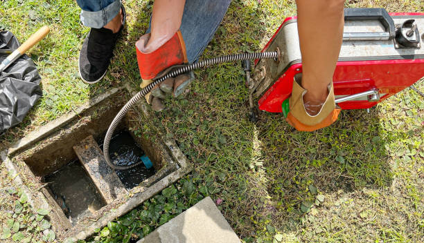 Tree Roots in Drains: Detection, Removal, Prevention